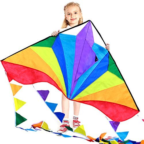 Large Delta Kite For Kids & Adults,extremely Easy To Fly Kite For Beach Trip,...