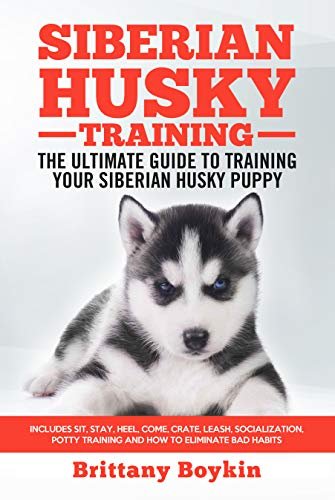 Siberian Husky Training