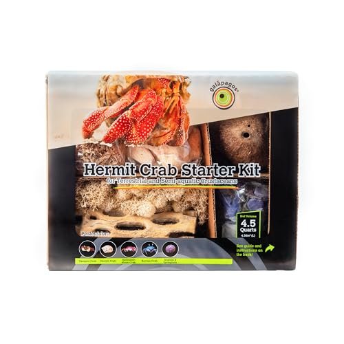 Galápagos (05355) Hermit Crab Starter Kit