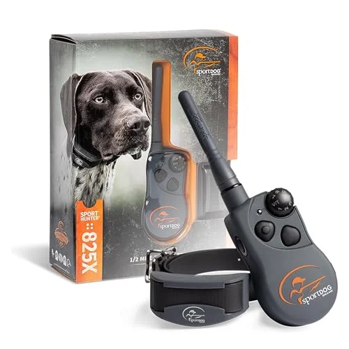 best hunting dog shock collar