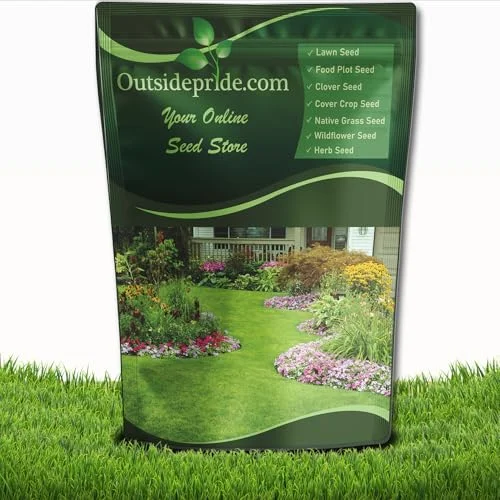 best hybrid bermuda grass seed