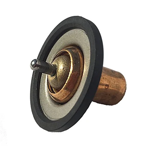 Best Jet Performance thermostat