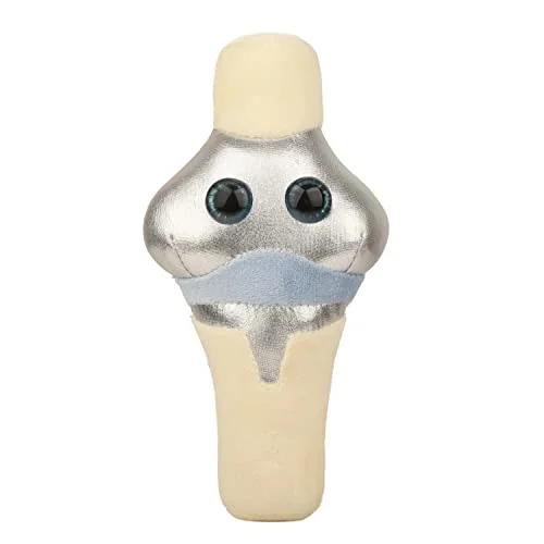 best knee replacement surgeon