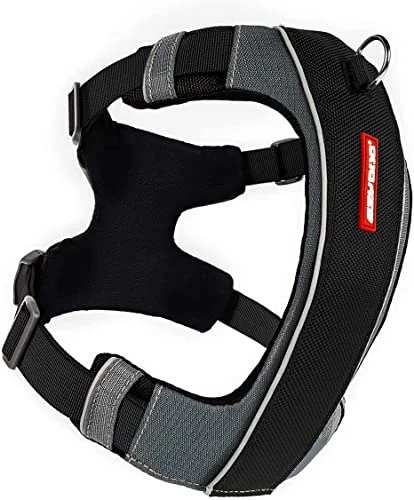Best Link harness