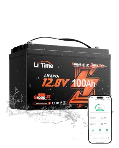 best lithium batteries for rvs