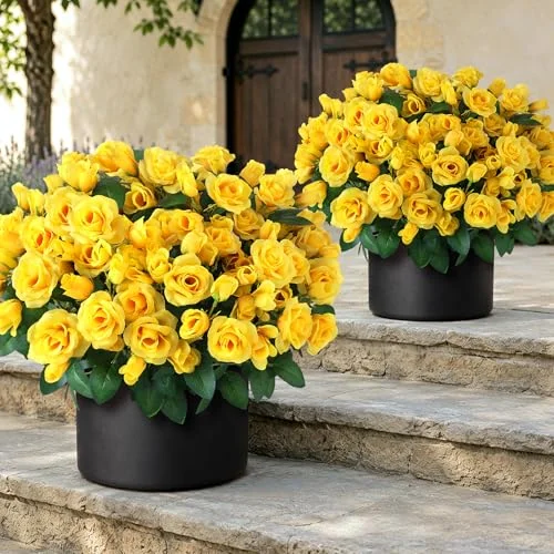 best low maintenance bushes for front of house