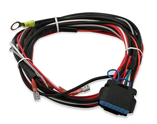 Best MSD harness