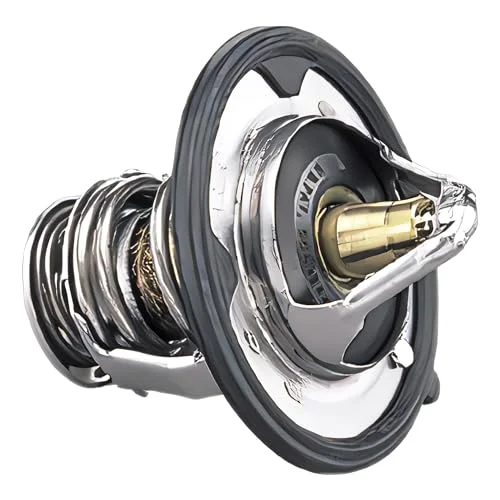 Best Mugen thermostat