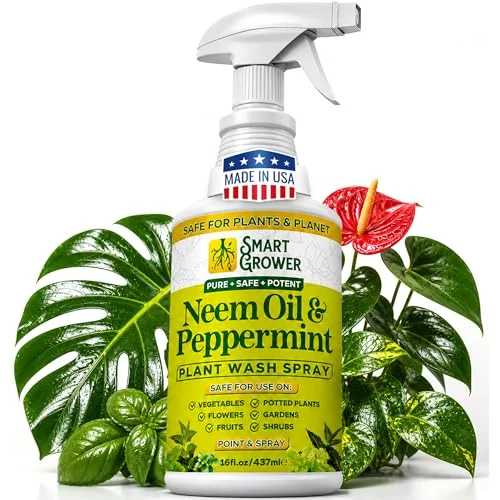 best neem oil for indoor plants