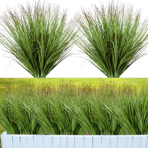 best no maintenance shrubs