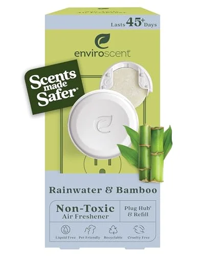 best non toxic home air freshener