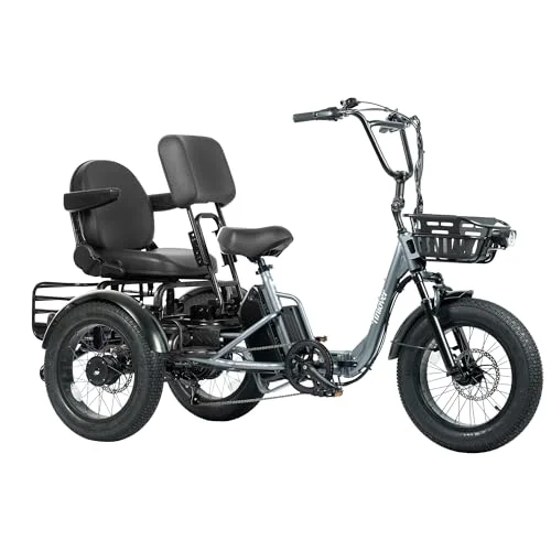 best off road electric trike