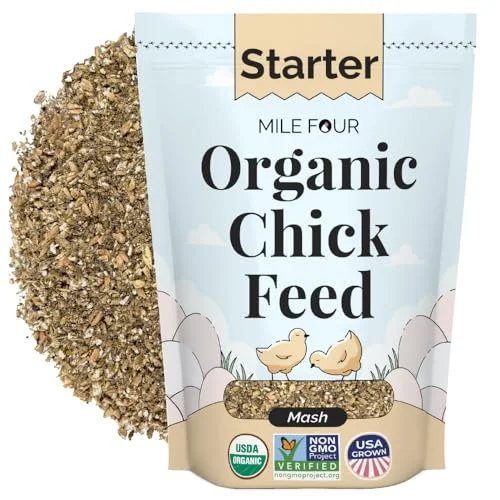 best organic chick starter feed