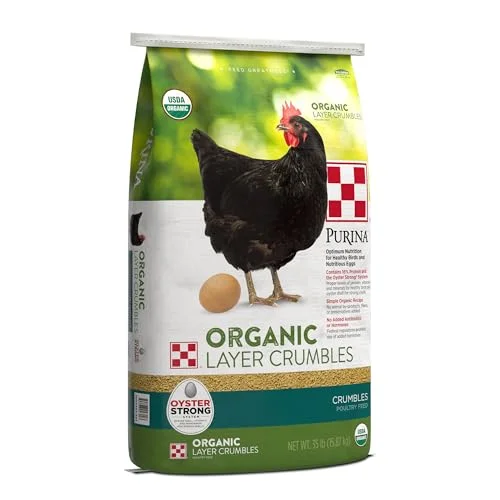 best organic chicken feed for egg layers