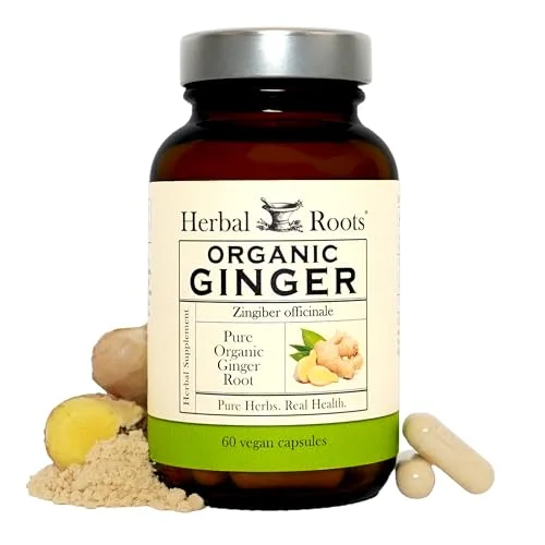 best organic ginger supplement