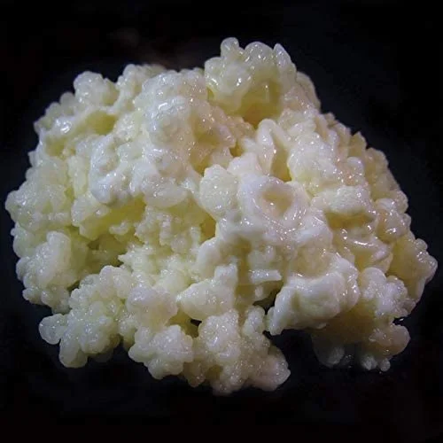 best organic kefir grains