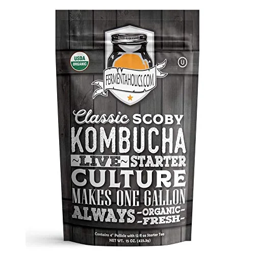 best organic kombucha
