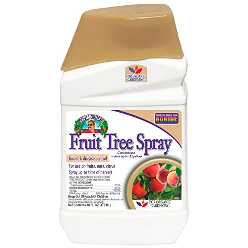 best organic pesticide for fruit trees