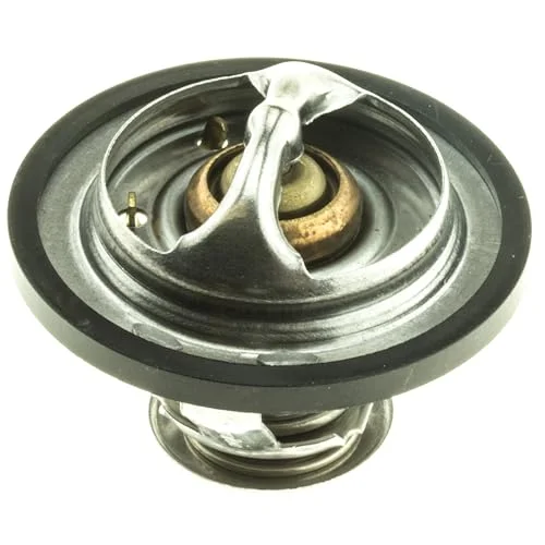 Best Stant thermostat