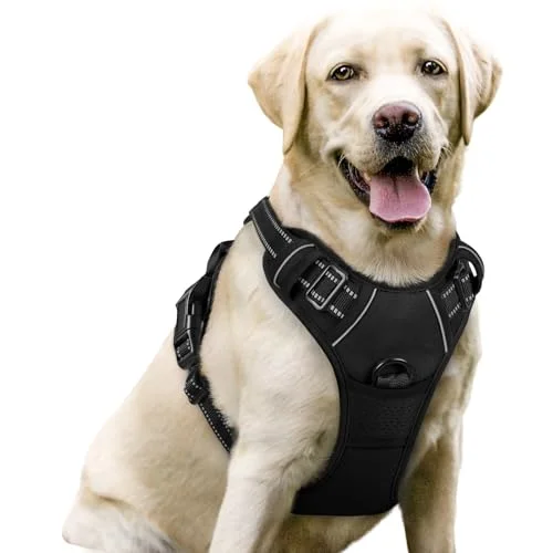 Best Willans harness
