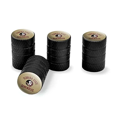 best tire for florida weather