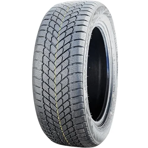 best tire for winter